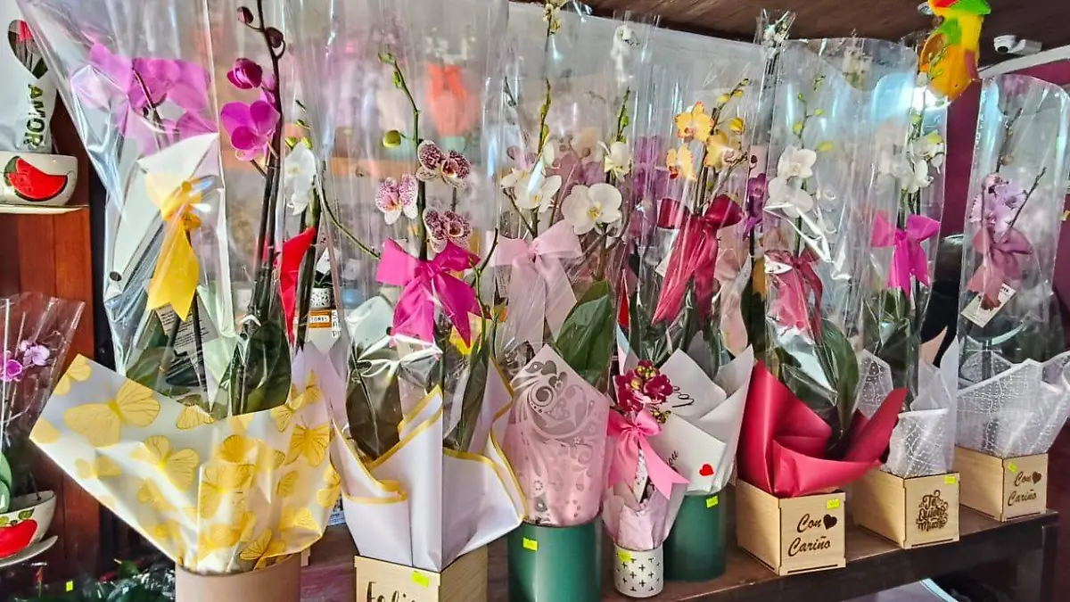 orquideas para san valentin